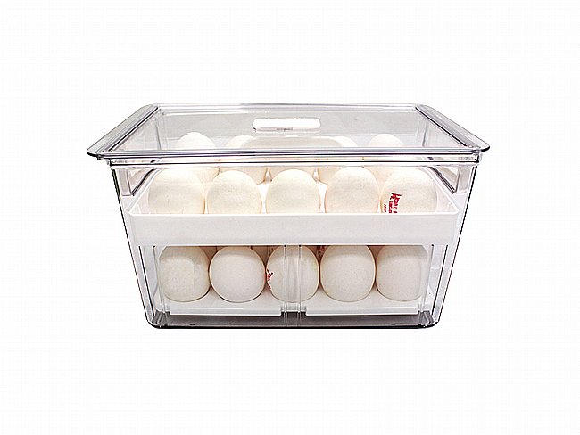 ����� ����� ����� ������