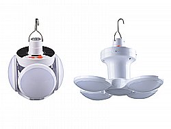 ��� ������ ����� �������