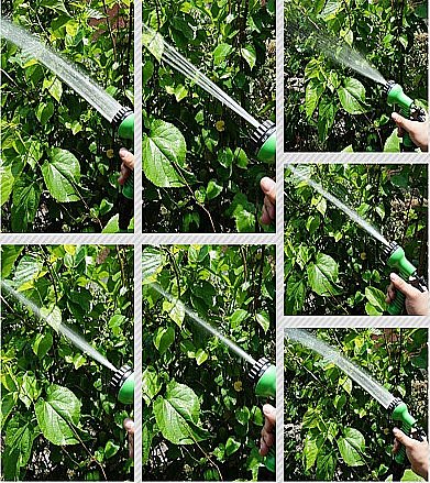 ����� ����� ������ - SHRANK