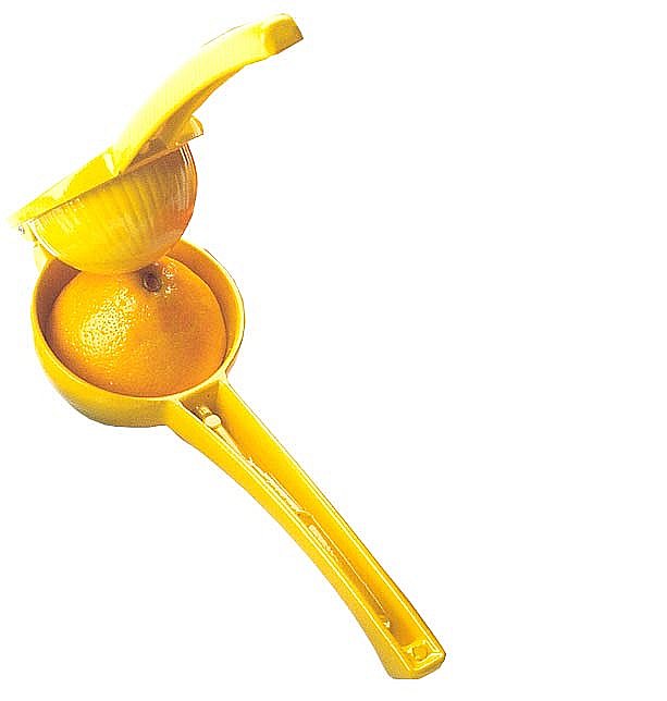 ���� ����� ������