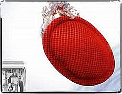 ���� ����� ���� �� wellos